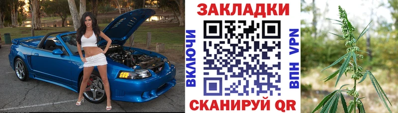 Псилоцибиновые грибы Сафоново