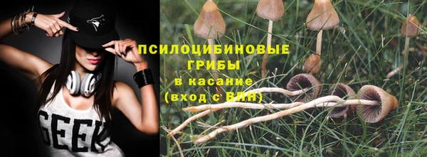 прущий лед Алзамай