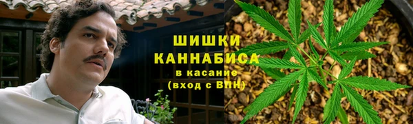 прущий лед Алзамай