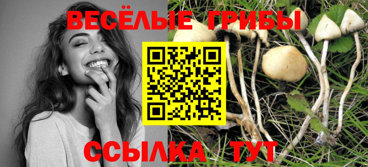 Псилоцибиновые грибы GOLDEN TEACHER  Вход с VPN  Сафоново 